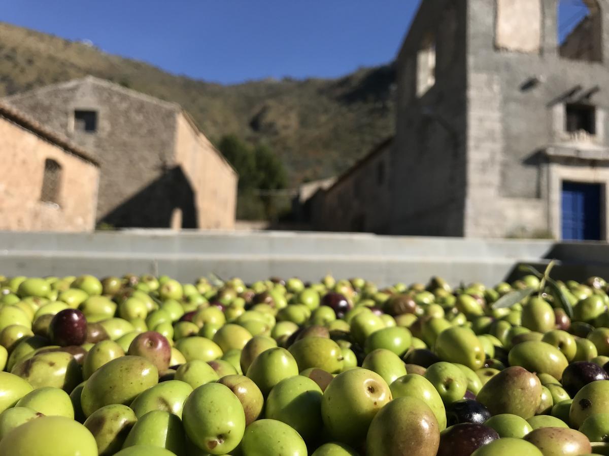 La Ferula Scillato (Sicily) Exterior photo